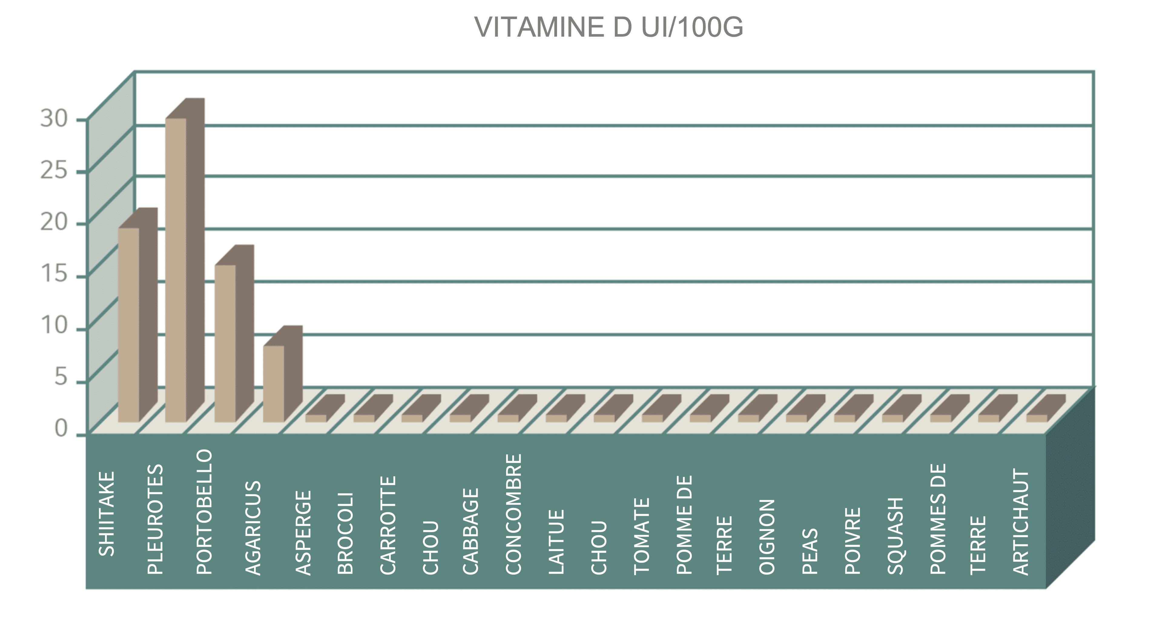 vitamine d et champignons